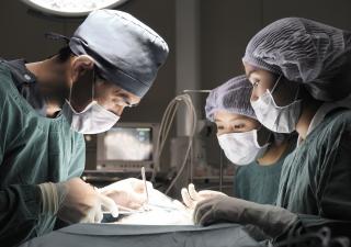 vétérinaire chirurgien